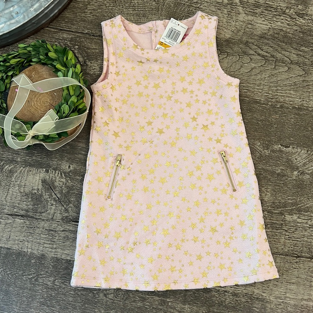 🍭3 for $25🍭NWT Pink dress Size 3T